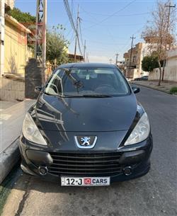 بيجو 307